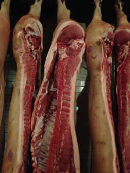 Мясо свинины в полутушах оптом Россия и Беларуссия