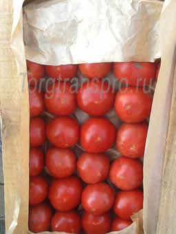 Свежие помидоры оптом Красный