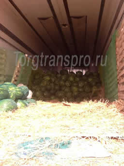 Свежие арбузы оптом Круглый